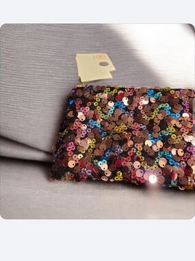 Sequin Multicolor Zippered Pouch Wit Purple Clip